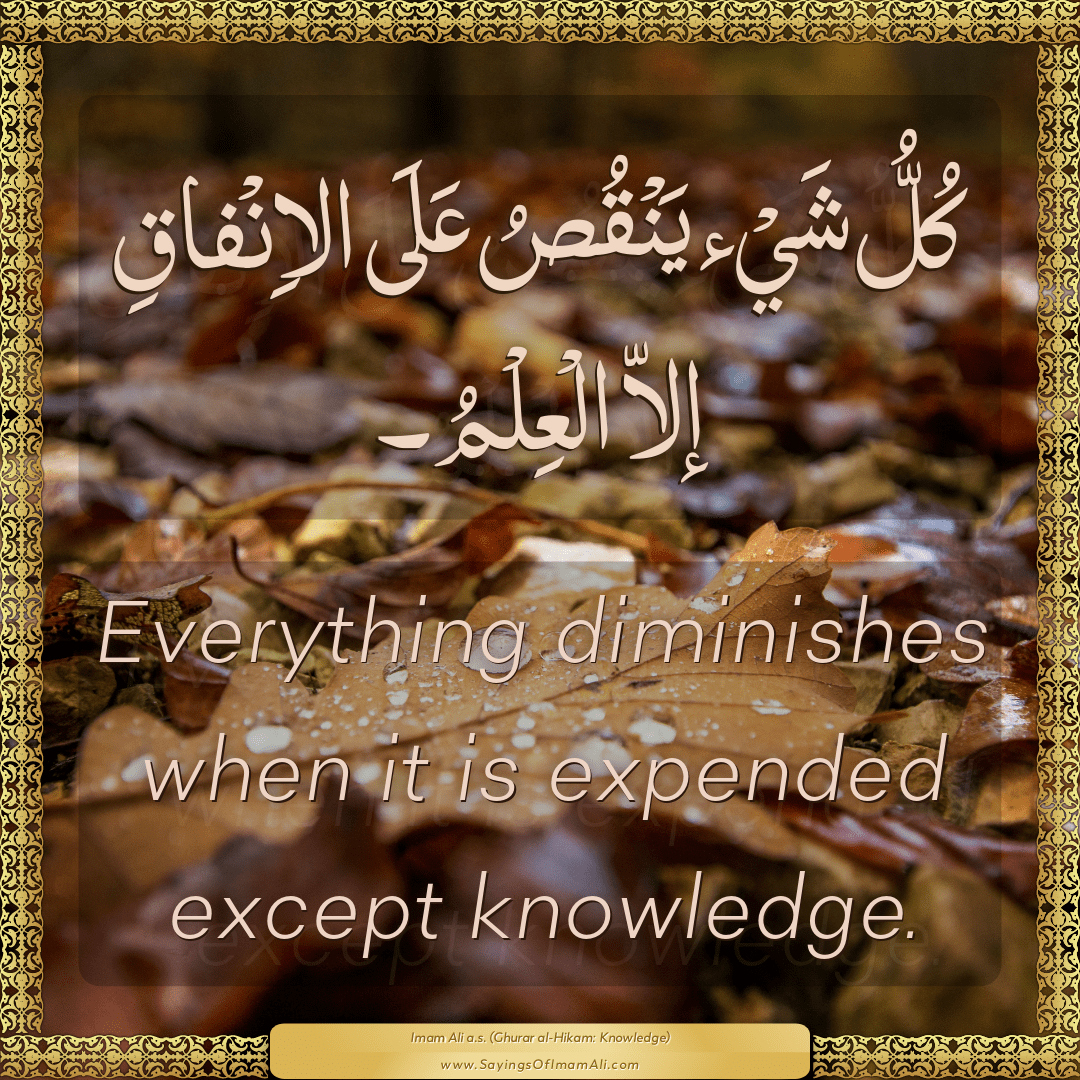 Everything diminishes when it is expended except knowledge.